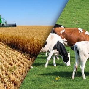 fotoğraf açıklaması